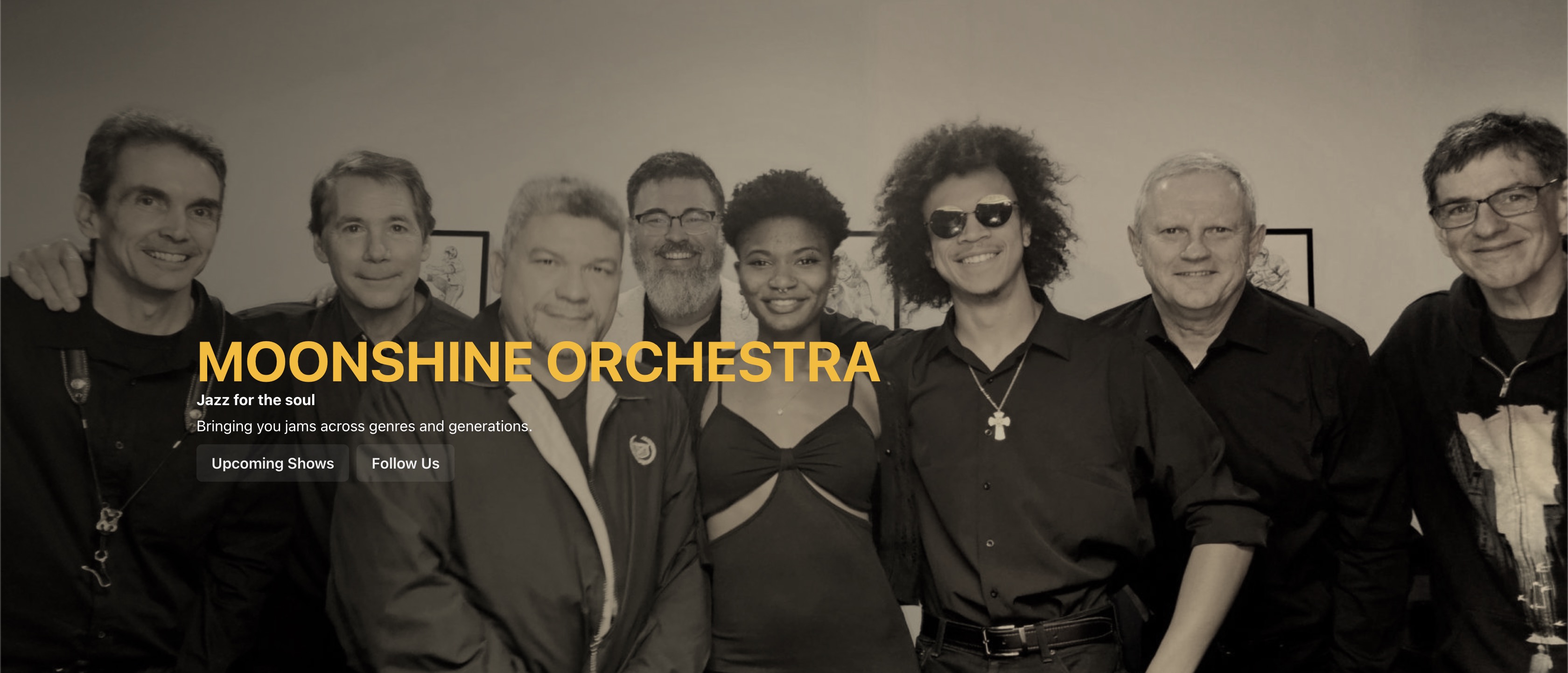 moonshine orchestra homepage